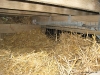 Under Deck