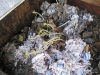 Worm Bin