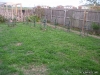 My Backyard Orchard