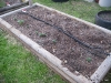 Raised Bed 4