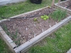 Raised Bed 5
