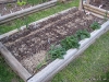 Raised Bed 6