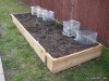 Asparagus Bed