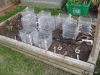 Raised Bed 1