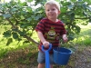Bryson in front of the Fig Tree