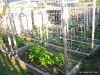 The Garden