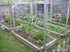 The Big Garden