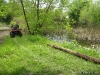 Me, pulling the log