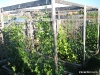Overview