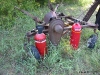 HPA and CO2 refill stations