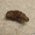 The Worm - post eviction