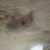 The little hole - after