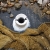 Silicone around drain