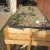 Aquaponics gravel growbed
