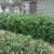 img_20110430_163215