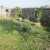 Fruit Trees