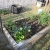 3 tomatoes, 3 peppers, cucumber, onion, broccoli, lettuce, herbs, flowers