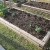 3 melon, lots of okra, sunflower, 