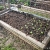 pole beans, bush beans, cowpeas, 2 squash