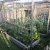 overview of 6 raised beds