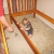Bryson is daddy's helper