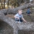 Bryson in a tree