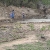 Kids throwing rocks in the water