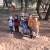 The boys and a mangy dog