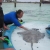 img_2978